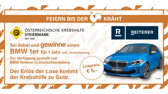 bbball20_reiterer_deko2-v1